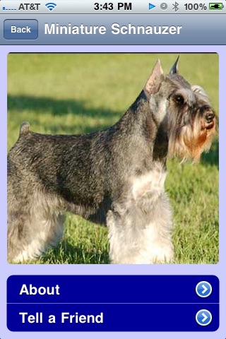 Best Dog Breeds - Hypoallergenic screenshot-3