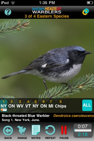 birdJam HeadsUp Warblers screenshot-4
