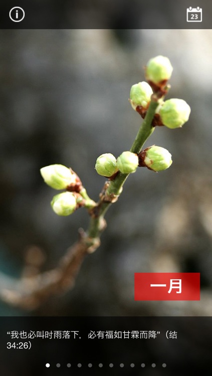 荒漠甘泉(新)
