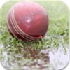 DL Calculator for Cricket