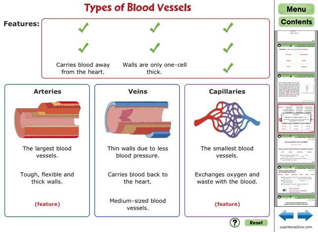 Circulatory, Digestive & Reproductive Systems - Free CH1(圖5)-速報App