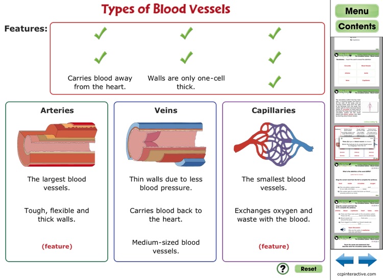 Circulatory, Digestive & Reproductive Systems - Free CH1 screenshot-4