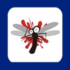 Go away! - Mosquitoes and Flies