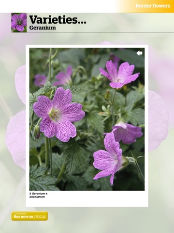 Gardeners’ World Magazine - 100 Best Plants screenshot 4
