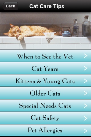 Cat Whisperer screenshot 2