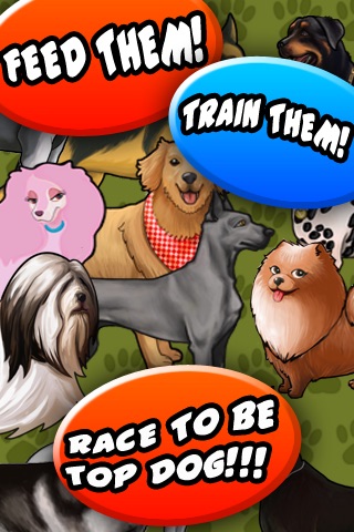 DOG RACER 2.0 IOS ĐUA XE DOG RACER 2.0 IOS