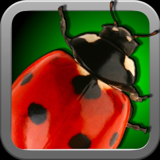 iBug iOS App