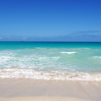 숙취 도우미 PC 용