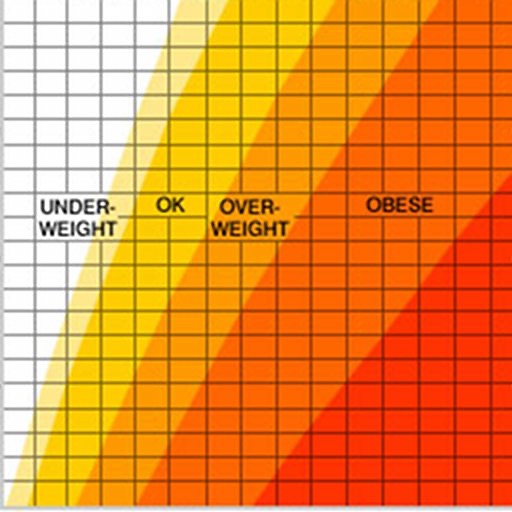 STAT BMI-Obesity Chart icon