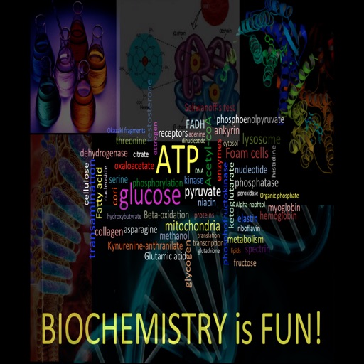 Biochemistry Is FUN