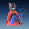 Experience the new ACCP Bronch+ bronchoscopy training app, featuring five short scenarios, designed for the interactive learning of bronchial procedures