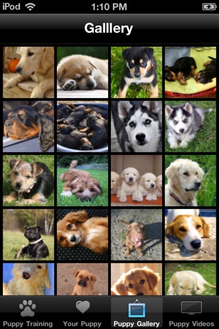 Puppy Training Tips screenshot 3