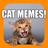 Cat Meme App