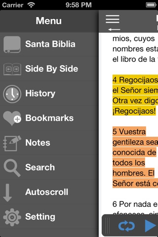 Santa Biblia Audio screenshot 2
