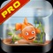 Awesome Fish Adventure Pro 2