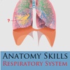 Anatomy Skills - Respiratory System