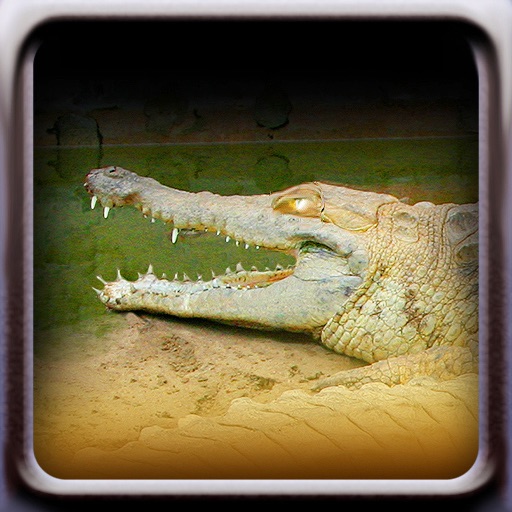 Reptiles iOS App