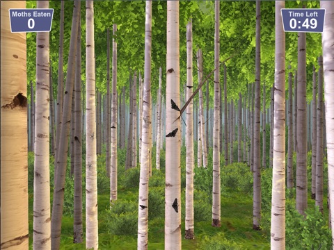 Hungry Birds EDU screenshot 2