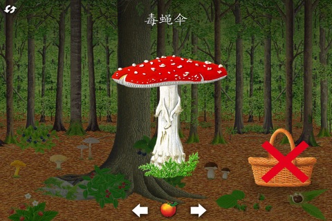 森林“第一次发现”丛书 for iPhone screenshot 2