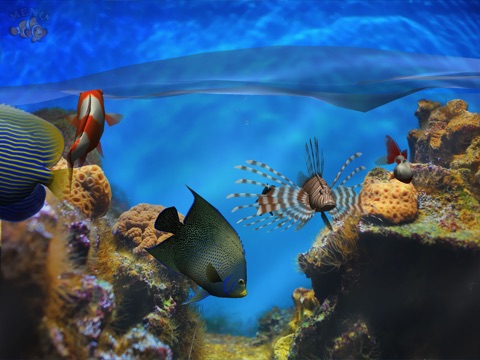 X it to fell water iphone how if in fix Aquarium  Fingers! 3D Fish Interactive voor  FREE App