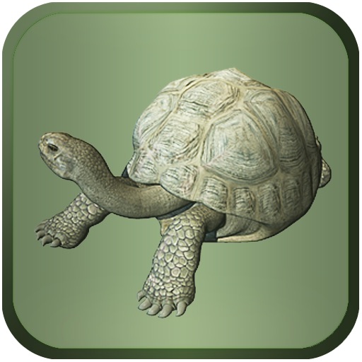 Pet Tortoise iOS App