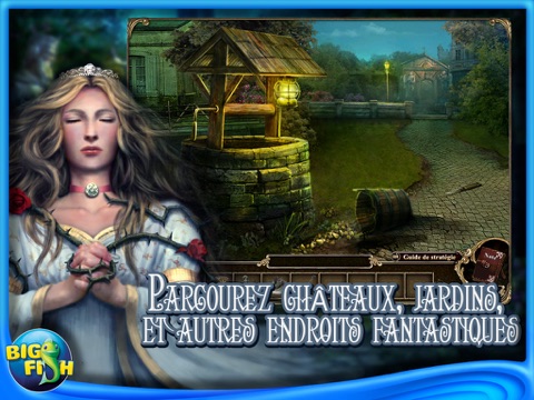 Dark Parables: Curse of Briar Rose Collector's Edition HD (Full) screenshot 4