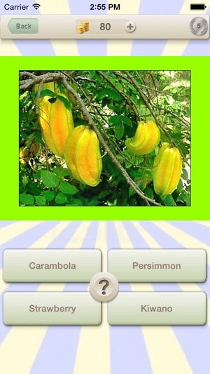 Vitamin C Quiz : Guess Game for Vitamins Fruit and Vegetable(圖2)-速報App