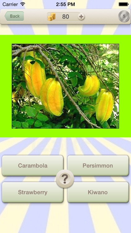 Vitamin C Quiz : Guess Game for Vitamins Fruit and Vegetable Healthy Living