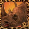 Virtual Pet Rhinoceros