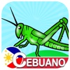 Flashcards Cebuano HD Full Version