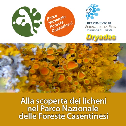 Alla scoperta dei licheni nel Parco Nazionale delle Foreste Casentinesi icon