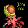 Flora Gods
