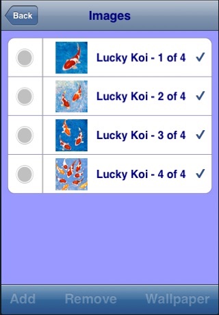 幸運錦鯉/幸运锦鲤/Lucky Koi screenshot 4