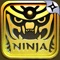 The darkness forces attack the world now; all the warriors and Ninjia are controlled by it