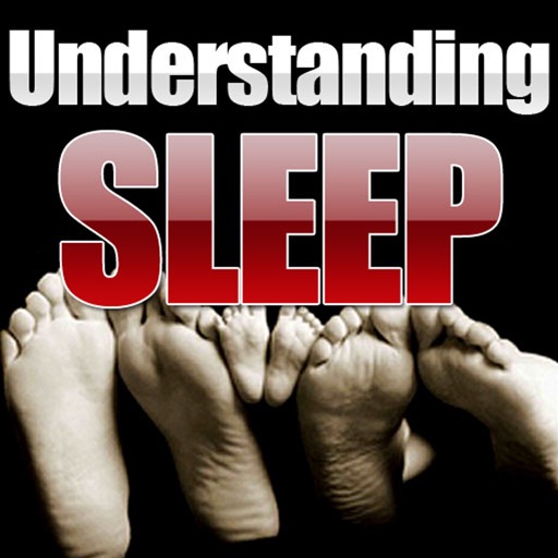 Understanding sleep icon