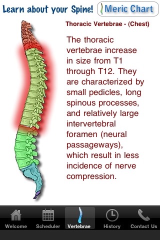 Back Pain 411 with Appointment Scheduler