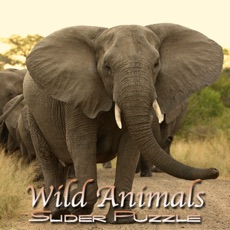 Activities of Wild Animals Slider Puzzle HD