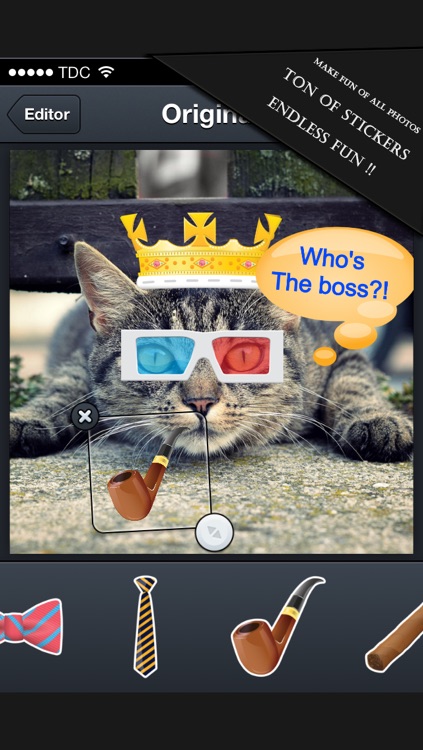 Photo Editor Pro+: Photo Effects For Pinterest,Whatsapp,Tumblr,Facebook,Yahoo Messenger,Skype,Hotmail screenshot-3