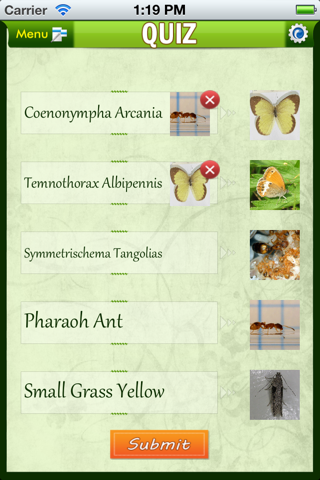 Insects Catalog screenshot 2