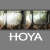 Hoya Comparison