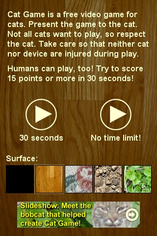 Cat Game (Free!)