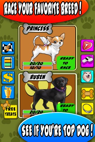 Dog Racer