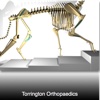 Torrington Orthopaedics