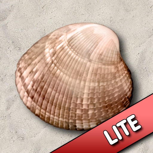 ZenShell LITE Icon