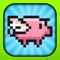 When Pigs Fly - Cute Pet Pig Flapper Adventure