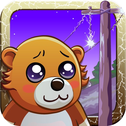 Loser Bear icon