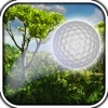 Forest - Golf