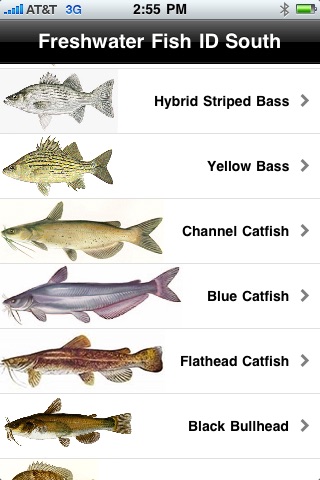 Freshwater Fish ID South screenshot 4