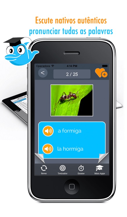 Learn Portuguese and Spanish Vocabulary: Memorize Words - Free screenshot-0