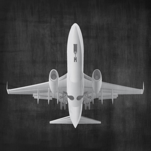 Airplane Quiz for iPad icon